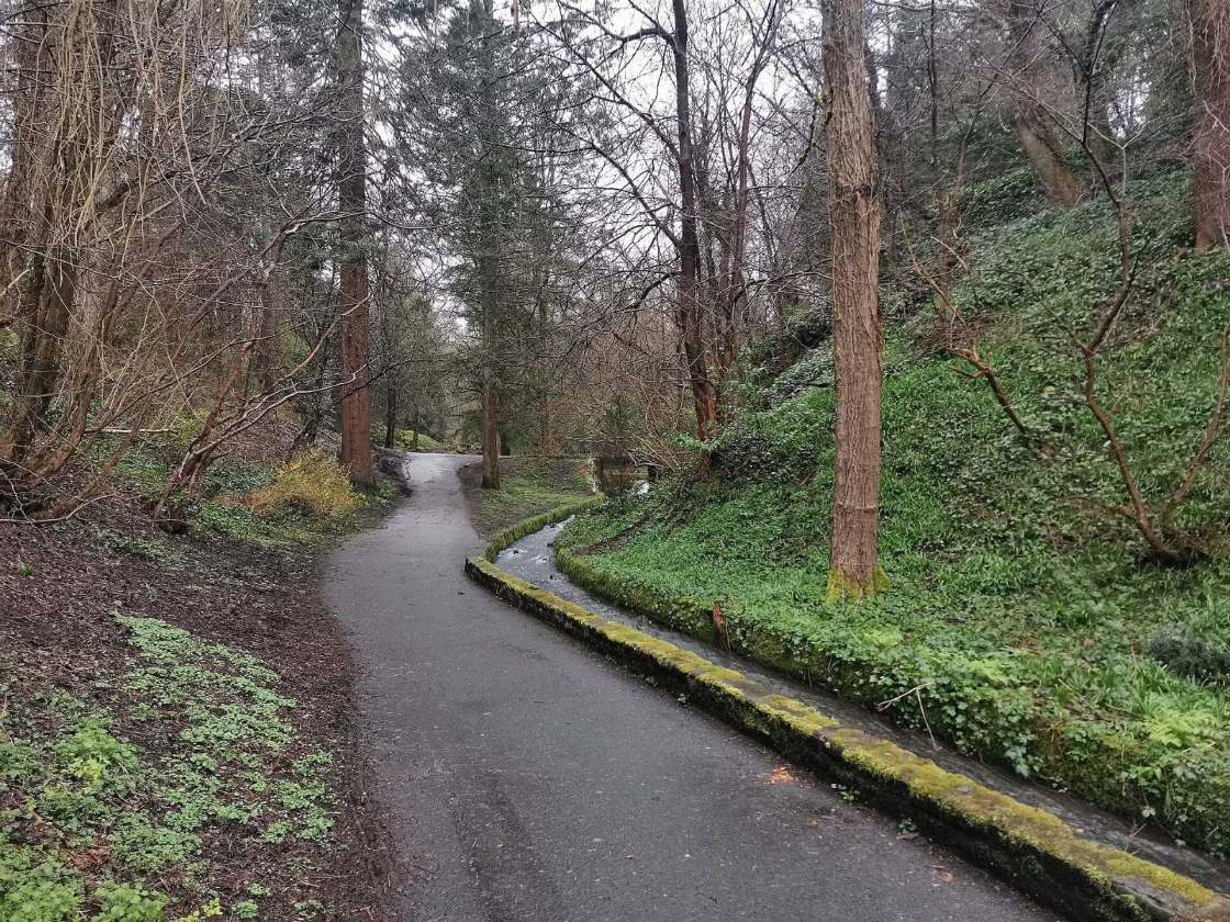 Borgie Glen in Cambuslang Park
